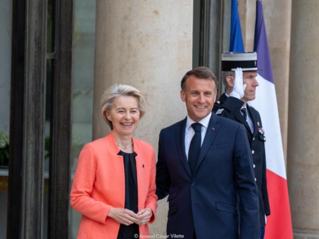 Visites à L'Elysée